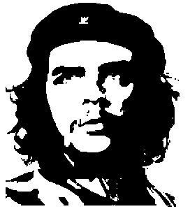 High contrast portrait of Che Guevara