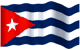The flag